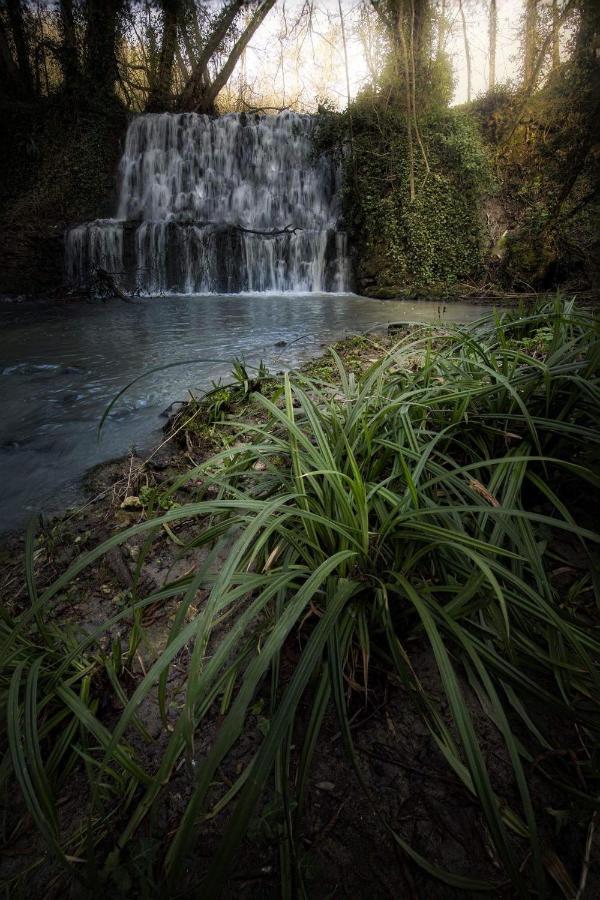 Il Molinaccio Al Rio Chiaro Villa Civitella dʼAgliano Exterior foto