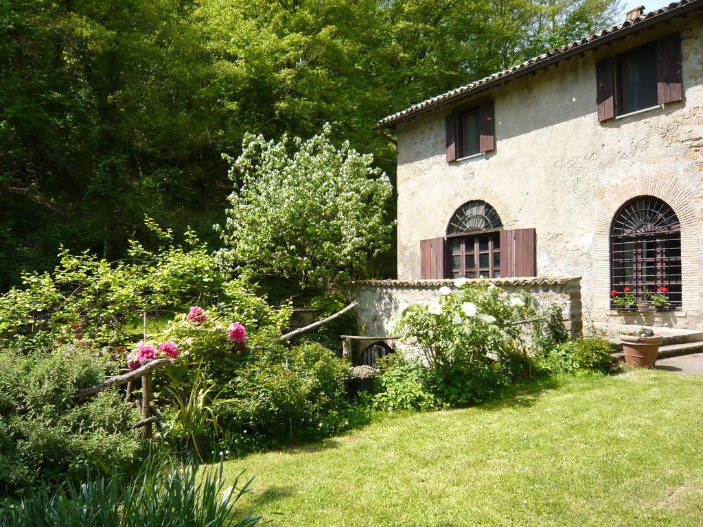 Il Molinaccio Al Rio Chiaro Villa Civitella dʼAgliano Exterior foto