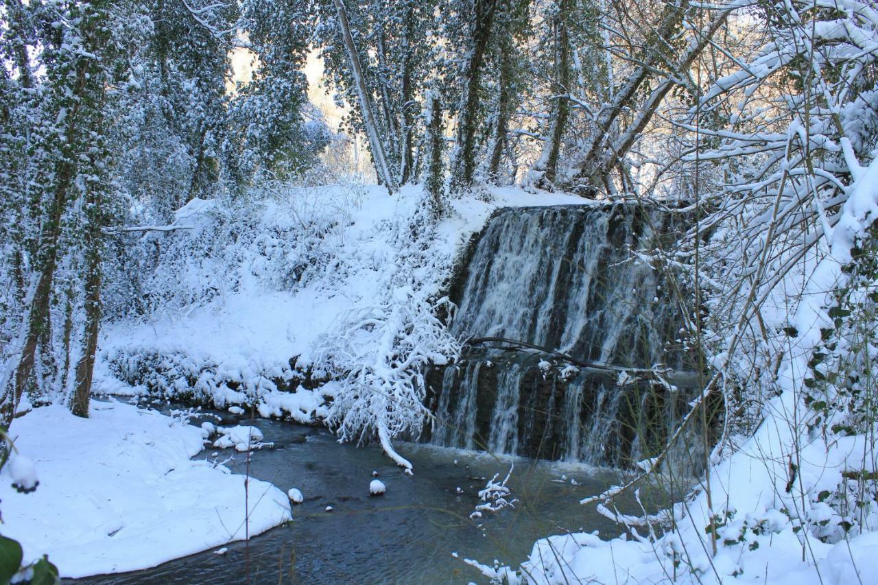 Il Molinaccio Al Rio Chiaro Villa Civitella dʼAgliano Exterior foto